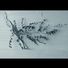 Artist/Curator Talk: Otobong Nkanga in conversation with Caroline Hancock