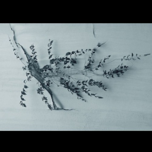 Artist/Curator Talk: Otobong Nkanga in conversation with Caroline Hancock