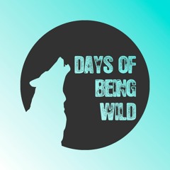 PRÉMIÈRE: Offset - Night Drive (Club Bizarre Remix) [Days Of Being Wild]