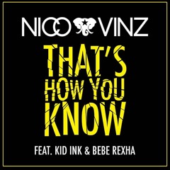 Nico & Vinz ft. Bebe Rexha - That's How You Know (Signalfluss Remix)