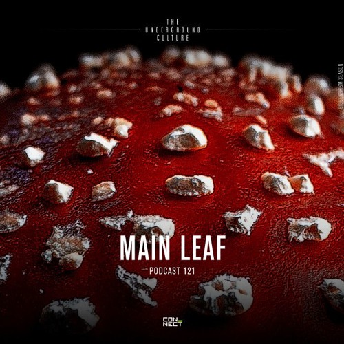 Main Leaf @ Podcast Connect #121 - Spain