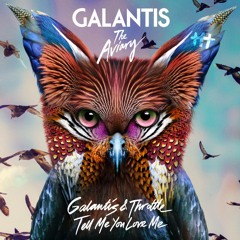 Galantis & Throttle - Tell Me You Love Me (Signalfluss Remix)