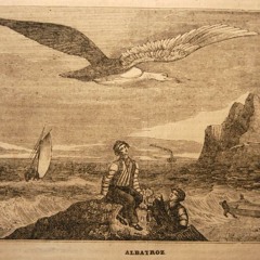 To The Seas! To The Seas! (Song Of The Albatrosses)