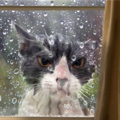 Freezerburn 2018 Mix