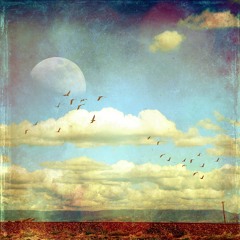 Semblance Of Reality