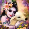 Shlok - MyMP3Singer.com