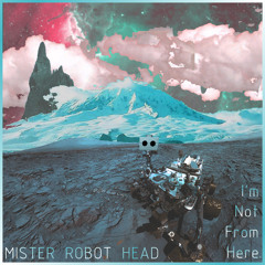 I'm Not From Here - Mister Robot Head