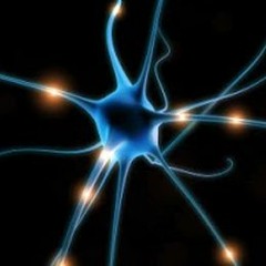 IN - PULSO - HNR Negra Domi Roman Mcdroms(Prod Lokero Records)