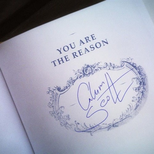 Download Lagu Calum Scott - You Are The Reason (Cover)