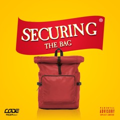 Securing the Bag