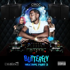 Butterfly Mixtape Part 3 (DJ NIMO)