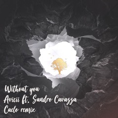 Avicii - Without You (Caelo Remix)