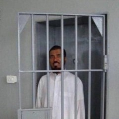 لو كنت طيرا صوت يحيى سيد