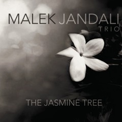 The Jasmine Tree