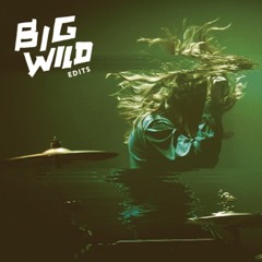 Big Wild Tour Edits