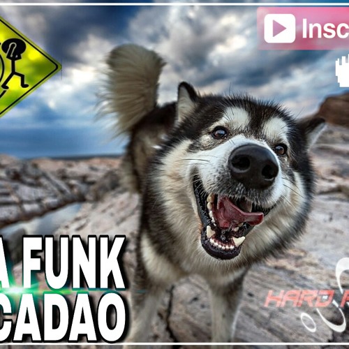 Mega Funk - Pancadão 2018 - Janeiro Part.1 (DJ FelipeCWB CuritibaPR)