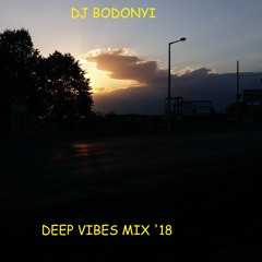 DJ Bodonyi - Deep Vibes Mix 2018