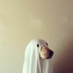 New rap playlist