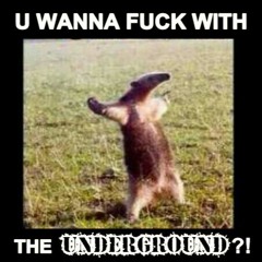 SUPPORT THE UNDERGROUND !