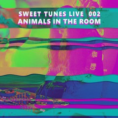 Sweet Tunes Live 002 w/ Animals in the Room
