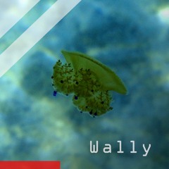 Wally (Andro Lontana Remix)