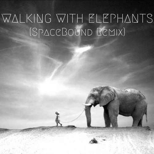 Ten Walls - Walking With Elephants (Space Bound & Bauhouse Remix)