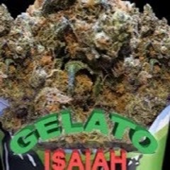 OhTrapStar - GELATO