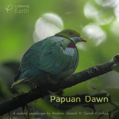 Papuan Dawn: Album Sample