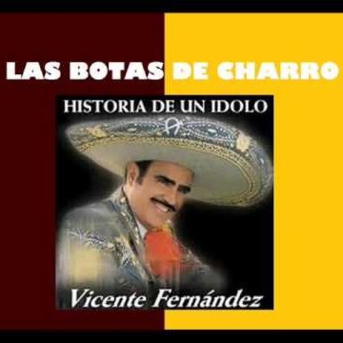 Stream Vicente Fernandez - Las Botas De Charro (COVER) by Benjamín Vargas |  Listen online for free on SoundCloud