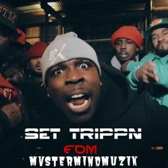 SET TRIPPN FDM