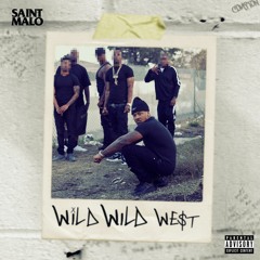 Wild Wild West