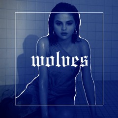 Zonderling X Selena Gomez X Marshmello - Wolves in the Tunnel Vision