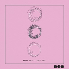 PREMIERE: Never Dull - Perpetual High [Feedasoul Records]