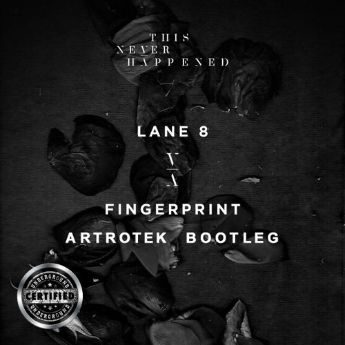 Lane 8 - Fingerprint (ARTROTEK Bootleg) I Free Download