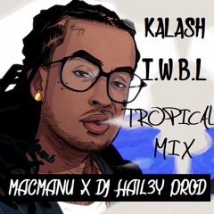 Kalash-I wanna be loved (MacMaNu X DJ Hail3y Prod Tropical Mix)