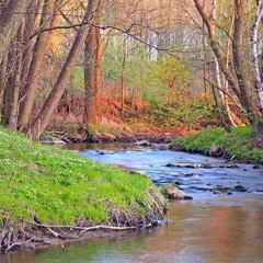 Am Bach - 19:01:2018 16.02