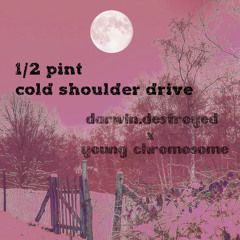 1/2 pint cold shoulder drive (prod. young chromosome)