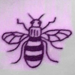 Conditions of My Parole - Puscifer cover