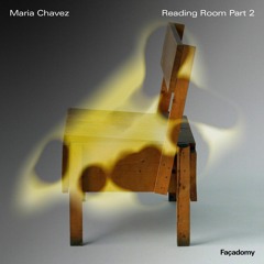 Maria Chavez, Façadomy Reading Room Part 2