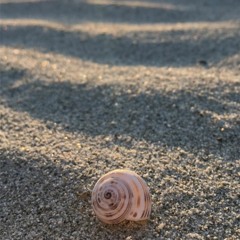 Plages de Laurent Crumière