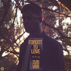 SVBVRB - Forgot to Love [Free Download]