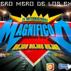 TU y YO 2018 Los Daddys Sonido Apocalipsis NJ