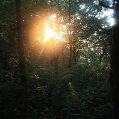 Taylor - Everybody Hurts