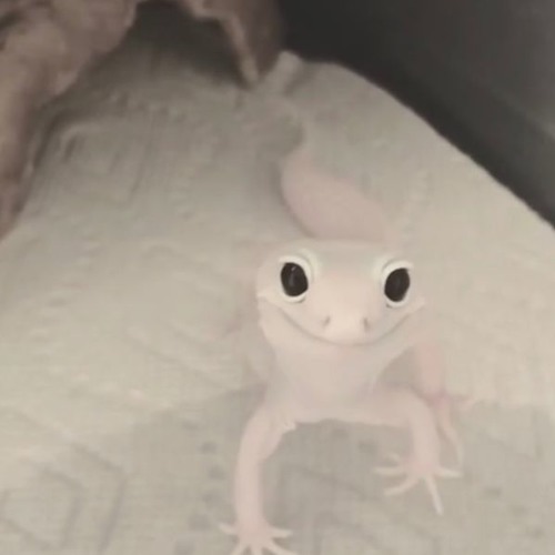 control yourself (demo)