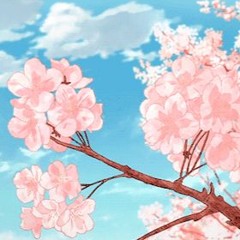 Sakura Trees