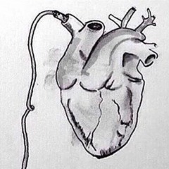 غافر ، المنشاوي