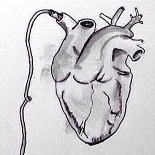 غافر ، المنشاوي