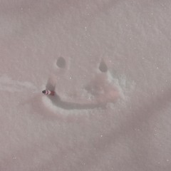 Soft Eyez x  Korey Wade - Keef Catcher