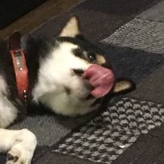 ミスディレクション