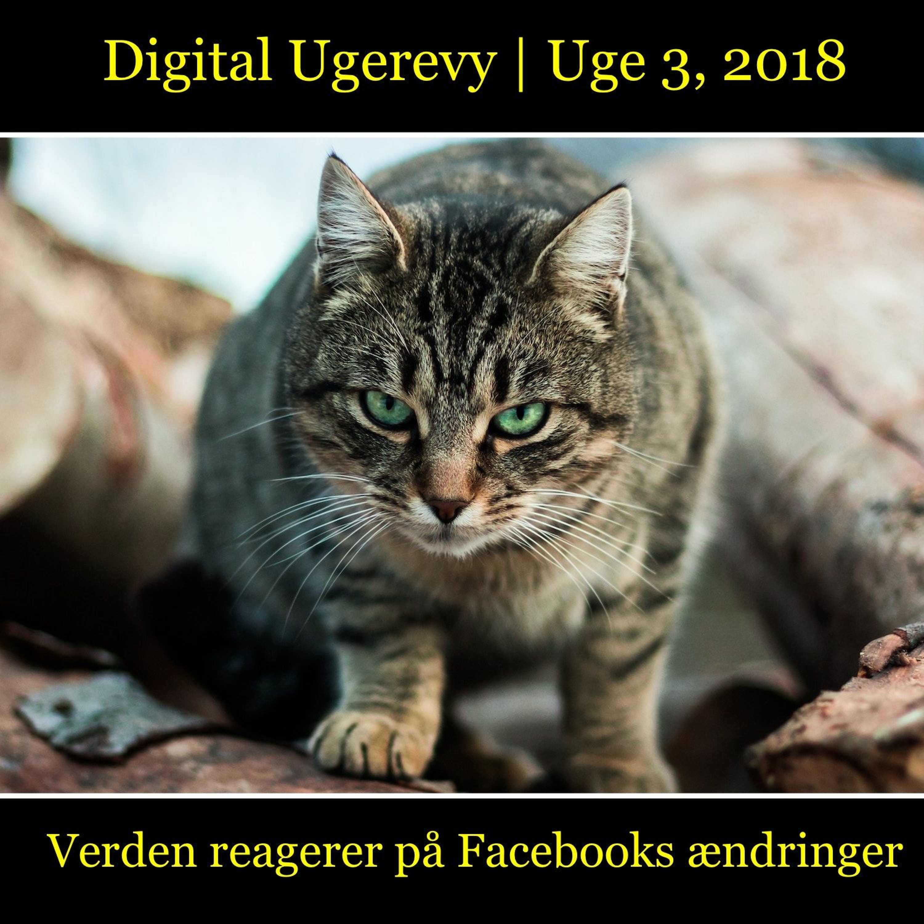 Lars K Jensen . dk / Digital Ugerevy